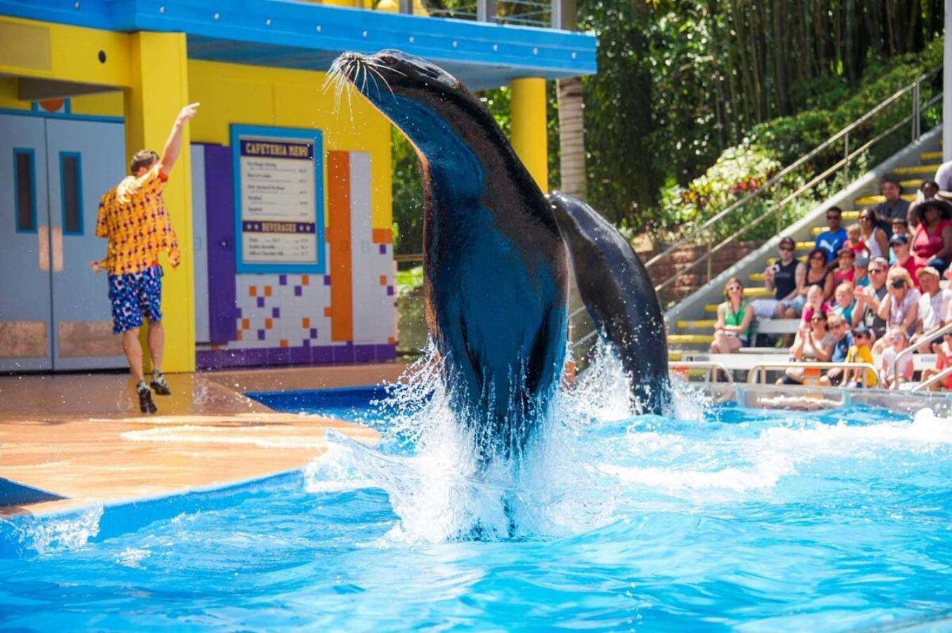 Superb House By Seaworld, Private Pool & Gameroom Сан Антонио Екстериор снимка